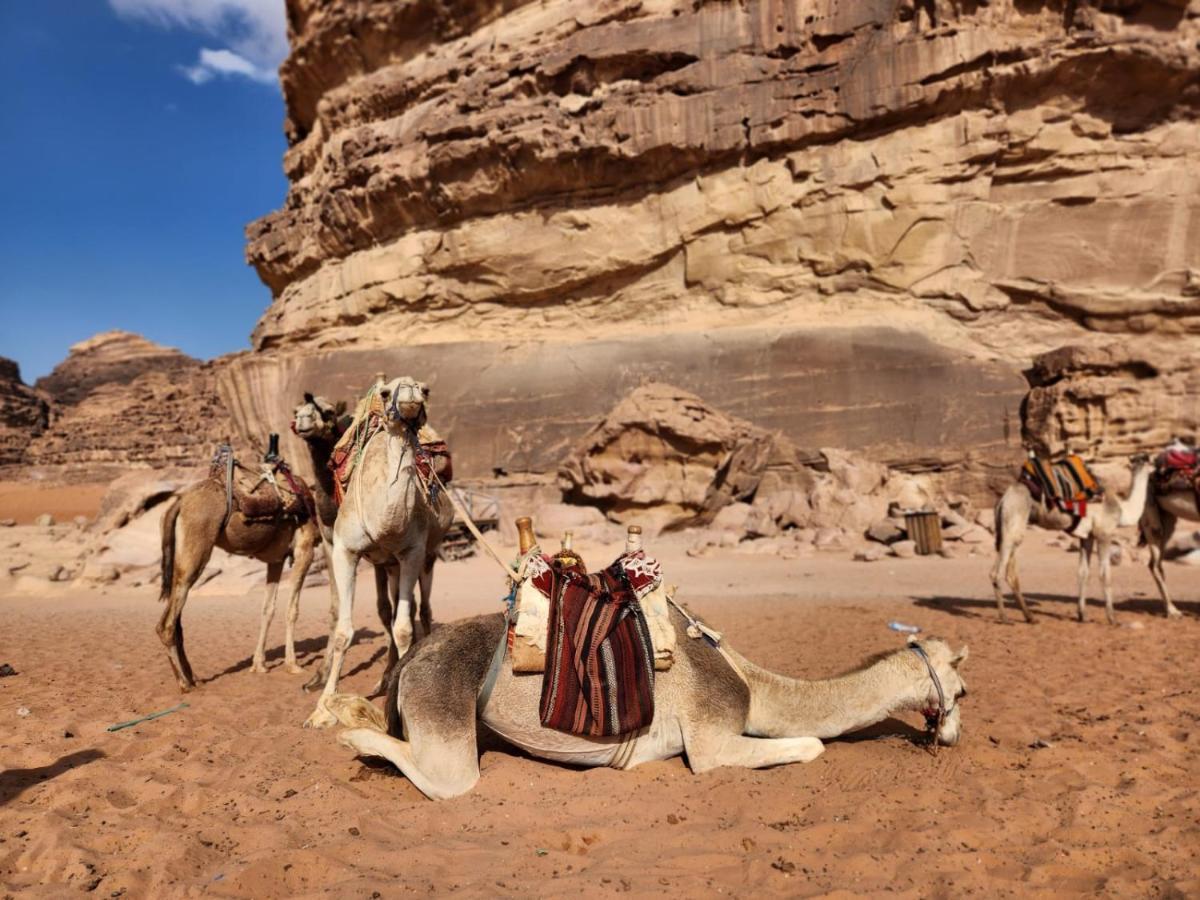 White Desert Camp Wadi Rum Exteriér fotografie